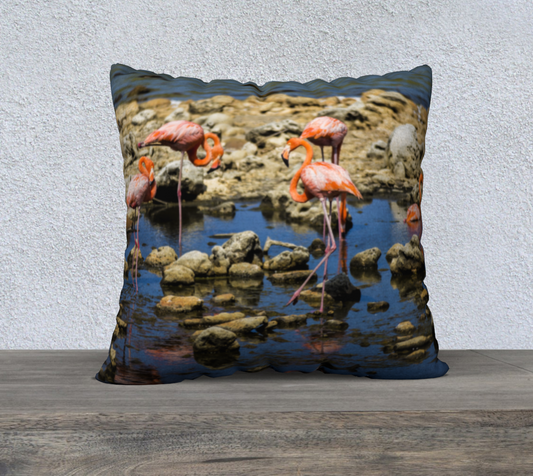 22x22 Pillow Case Flamingoo