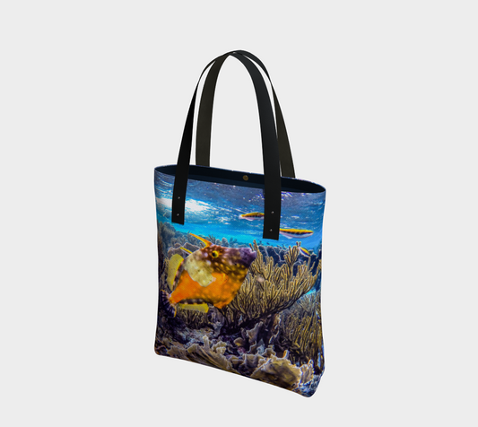 Bag Coral reef